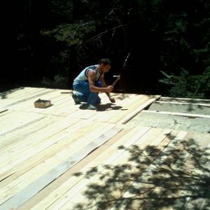 Снимка  от todor todorov