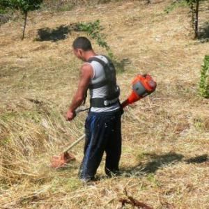 Снимка  от Хосе Реча