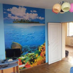 Снимка  от Кирил Каменов