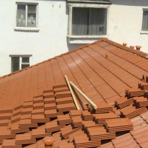 Снимка  от Камен Котов