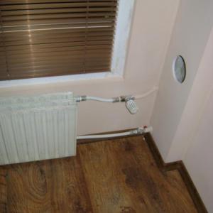 Снимка  от Петър Петров