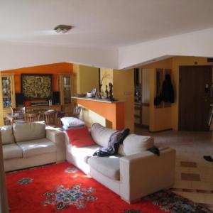 Снимка  от Кирил Каменов