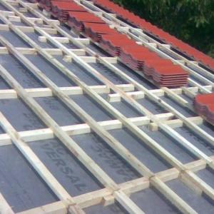 Снимка  от Бисер Асенов