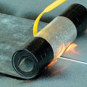 Снимка  от Бисер Асенов