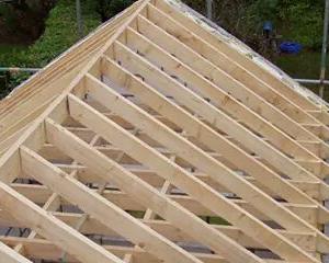 Снимка  от Бисер Асенов