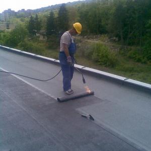 Снимка  от Събина Костова