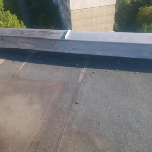 Снимка  от Бисер Асенов