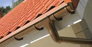 Снимка  от Бисер Асенов