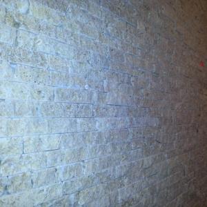 Снимка  от Теодор Чакърски