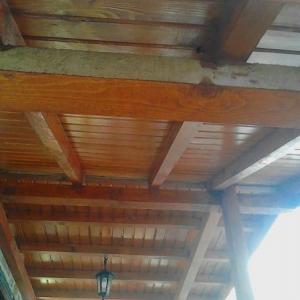 Снимка  от михаил петров