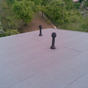 Снимка  от Събина Костова