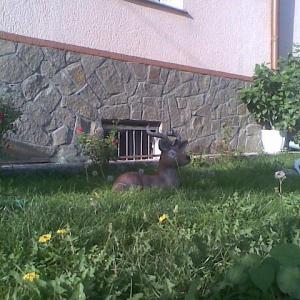 Снимка  от Борислав Терзиев