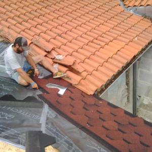 Снимка  от ivo gornev