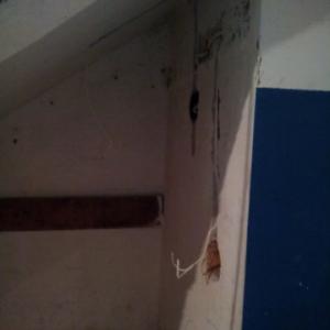 Снимка  от Стефан Милчев