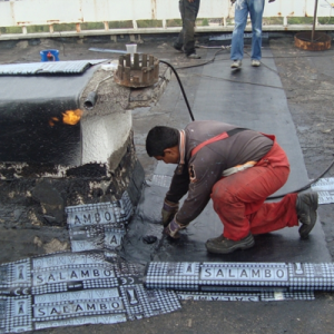 Снимка  от Георги Митев