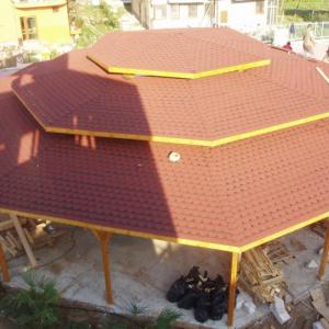 Снимка  от Райчо Радулов