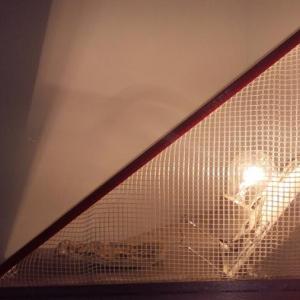 Снимка  от Евелина Тодорова