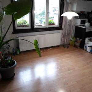 Редене на ламинат и изграждане на барплот