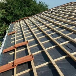 ДВОЙНА ЛЕТВЕНА СКАРА