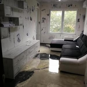 основен ремонт на дневна гр.София