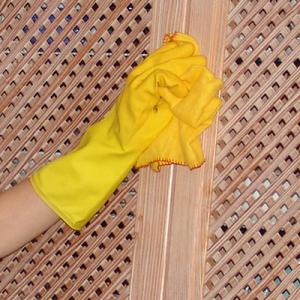 Домашна помощница Варна