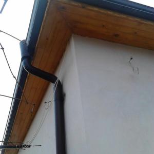 БЕЗШЕВНИ УЛУЦИ И ТРЪБИ