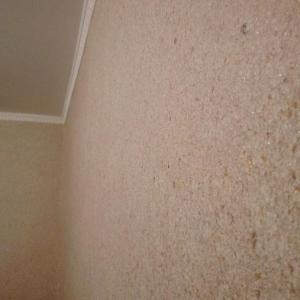 Течен Тапет