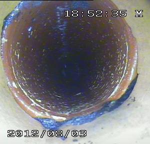 Снимка  от Димитър Димитров