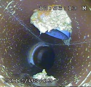 Снимка  от Димитър Димитров