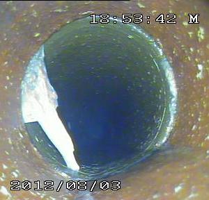 Снимка  от Димитър Димитров