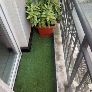 Тераса Красно село 3