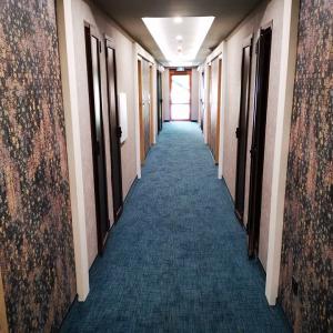 монтаж на фототапет, декоративни елементи, боя