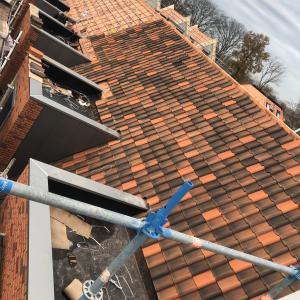 Холандски шарени керемиди