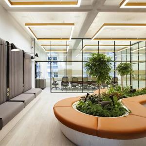Зеленина в дизайна на офиса – екологично и стилно решение