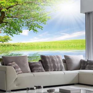 Какъв 3 D тапет да изберем?