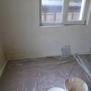 Боядисване