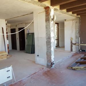 Първоначален вид