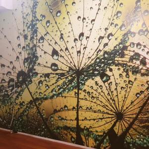 Лепене на фототапет2