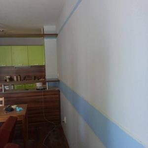 Разделителна ивица