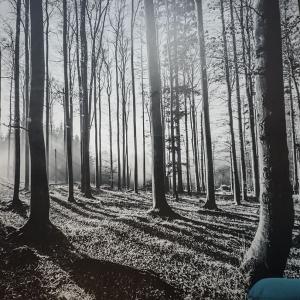 Лепене на фототапет