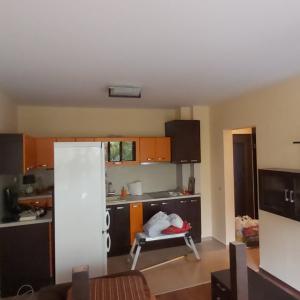 Апартамент Банишора