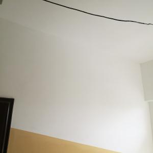 Основен ремонт на вход