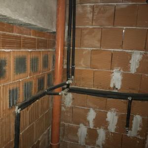 Мазе и стаи