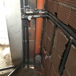 Стаи мазета