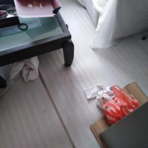 Нов Ламинат