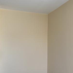 Ремонт на баня,Махане на тапети,Шпакловка и латекс село Тополница