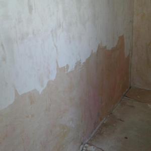 Снимка  от Северин Ленков