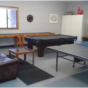 Стая за игри