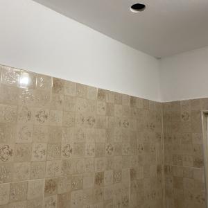 Таван зелен гипсокартон в банята с подготовка за лунички село Тополница