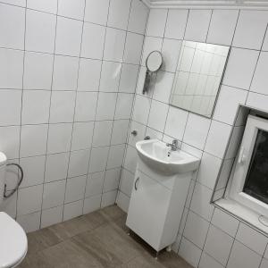 Цялостен ремонт на Баня и две стениЛлли